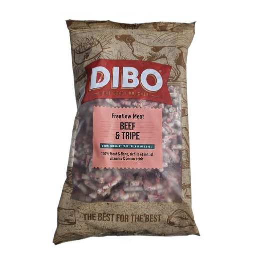 Dibo raw dog food in Bristol