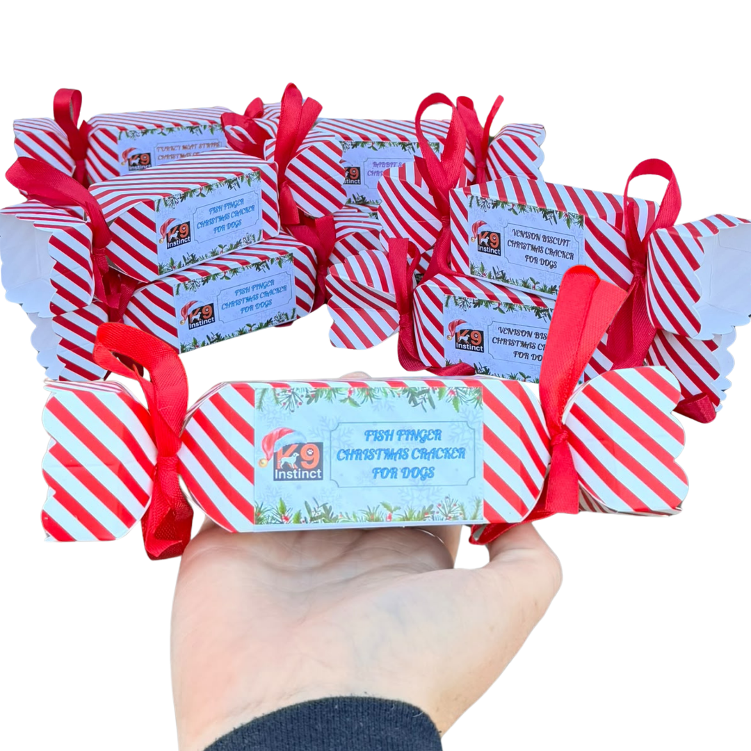 Christmas Cracker - Dried Fish Skin Fingers