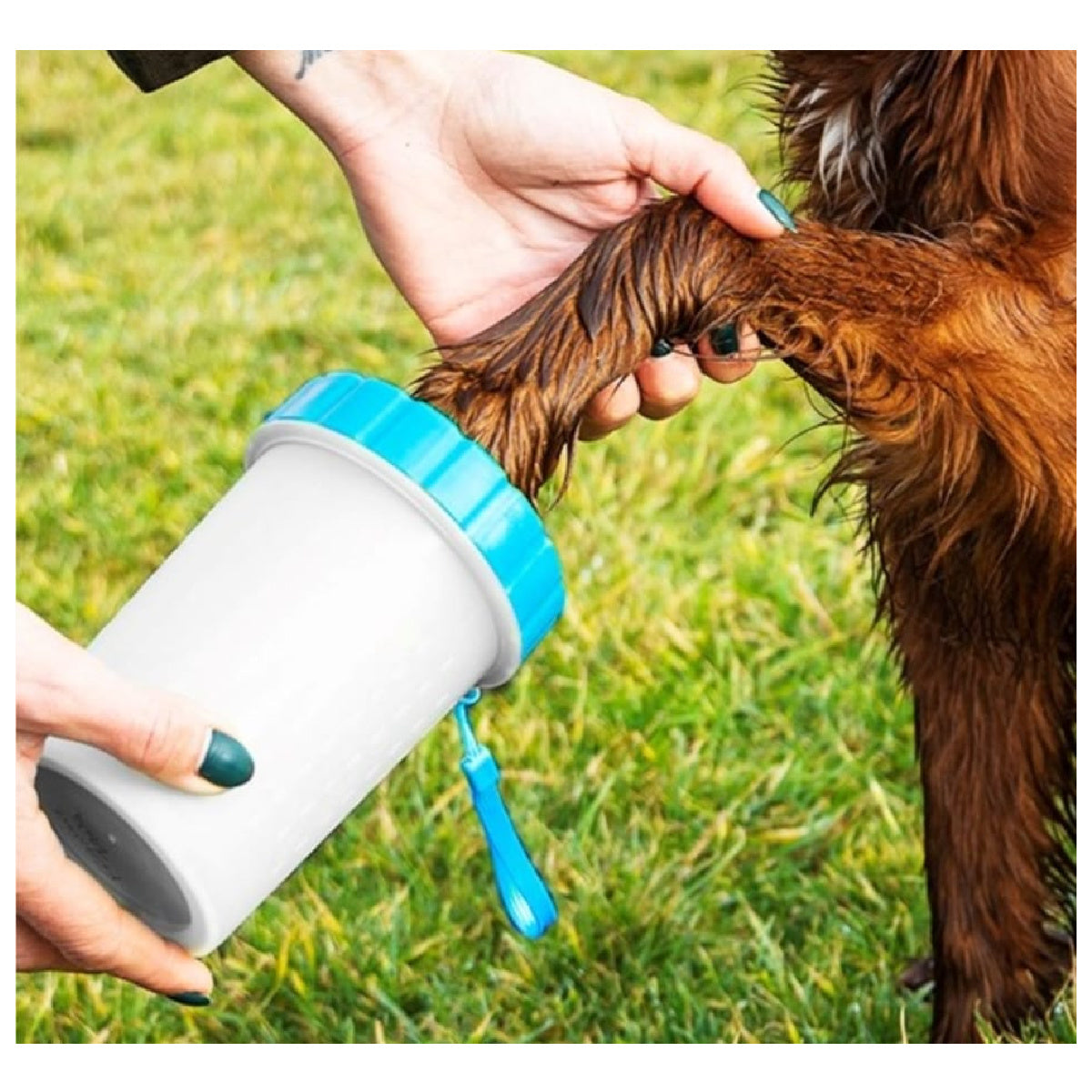 HW Pet Paw Cleaner