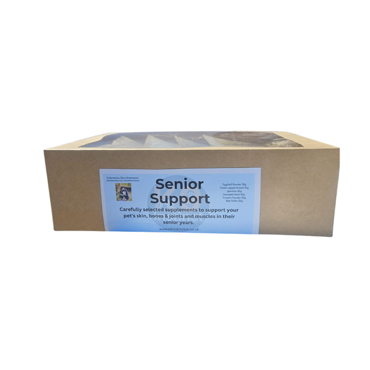 Senior Dog Support Supplement Box