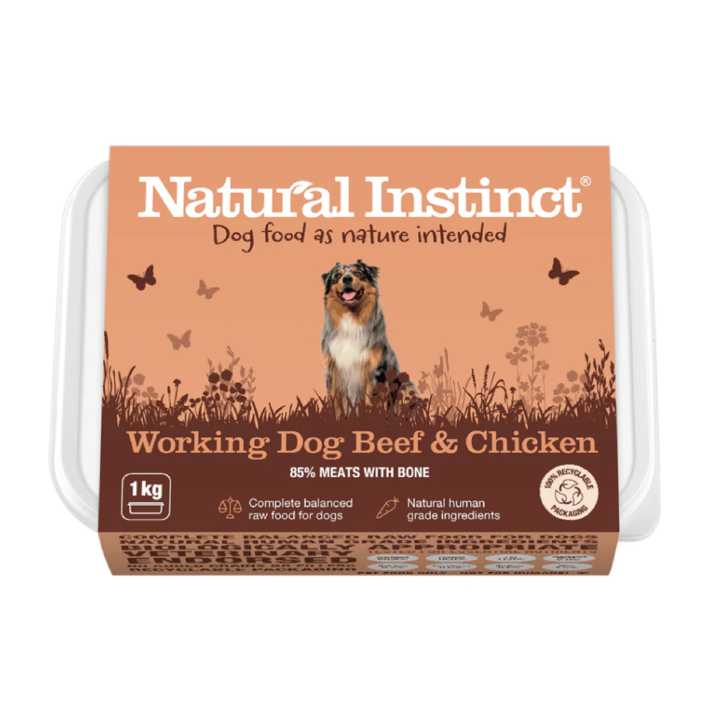 Natural Instinct raw dog food in Bristol