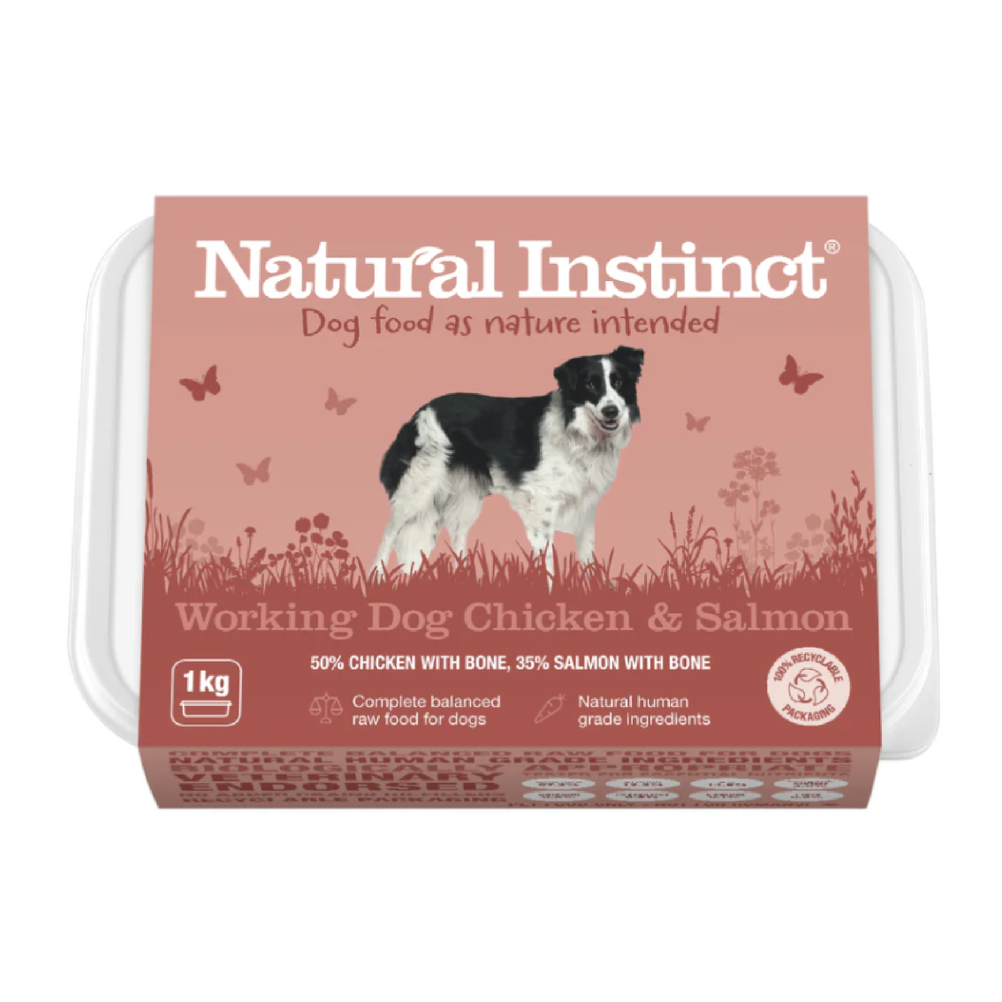 Natural Instinct raw dog food in Bristol