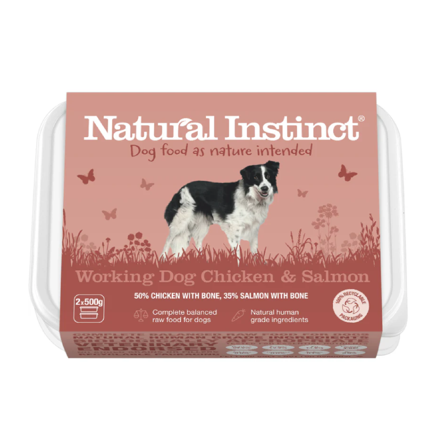 Natural Instinct raw dog food in Bristol
