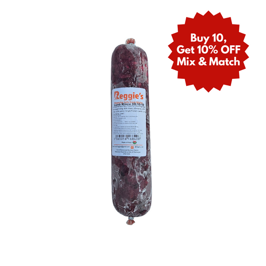 Reggie's raw dog food in Bristol