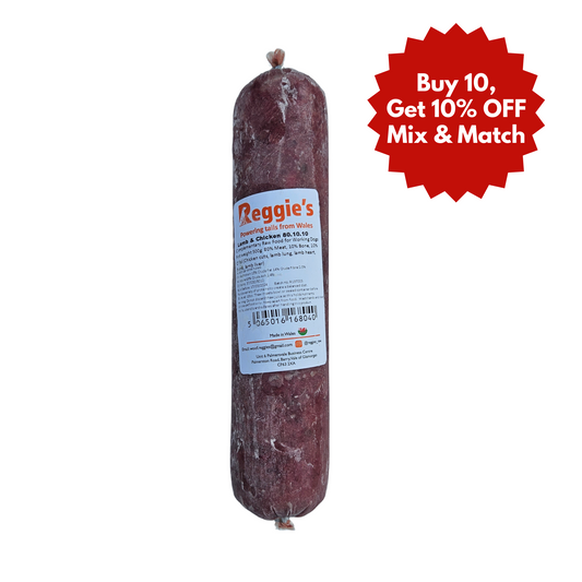 Reggie's raw dog food in Bristol