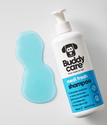 Buddycare shampoo for dogs in Bristol UK