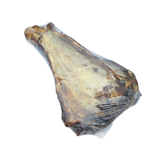 Beef Blade Bone - Natural chews for dogs in Bristol