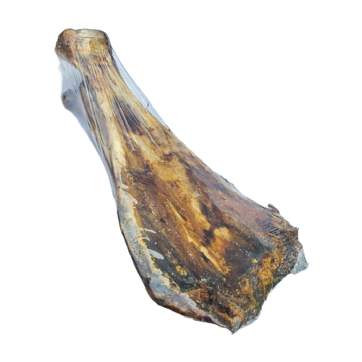 Beef Blade Bone - Natural chews for dogs in Bristol