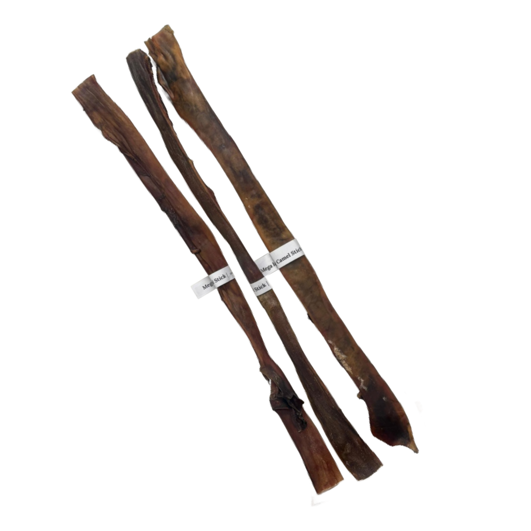 Mega Long Camel Stick 70cm