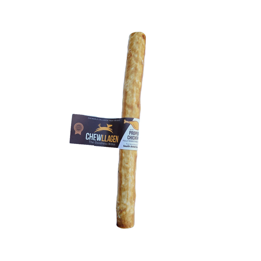 Chews for dogs in Bristol