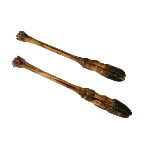 Deer leg with hoof - Natural chew for dogs in Bristol