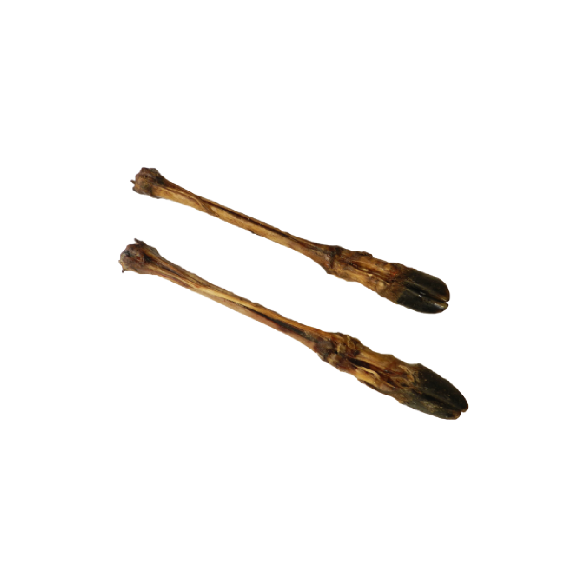 Deer leg with hoof - Natural chew for dogs in Bristol