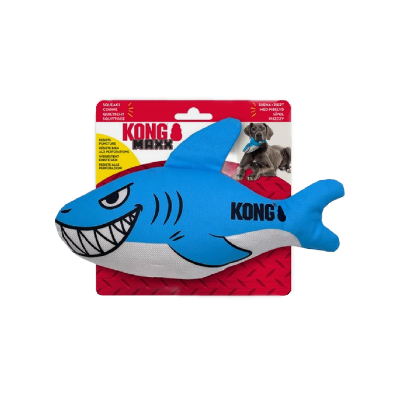 Dog toy in Bristol