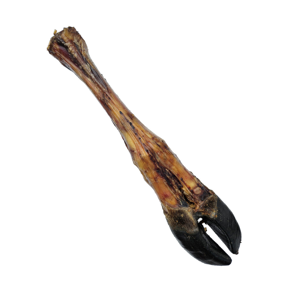Giant Cow Leg