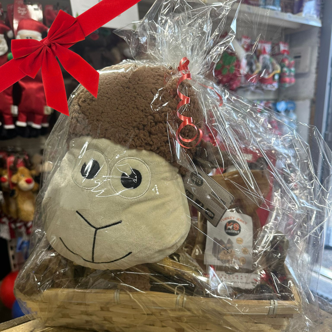 Christmas gift for dog