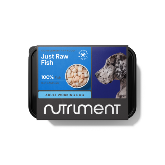Just Fish - raw dog food in Bristol