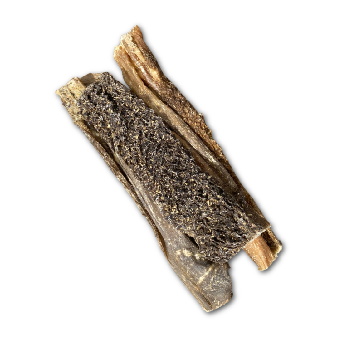 Natural Chews for dogs in Bristol - Lamb Tripe