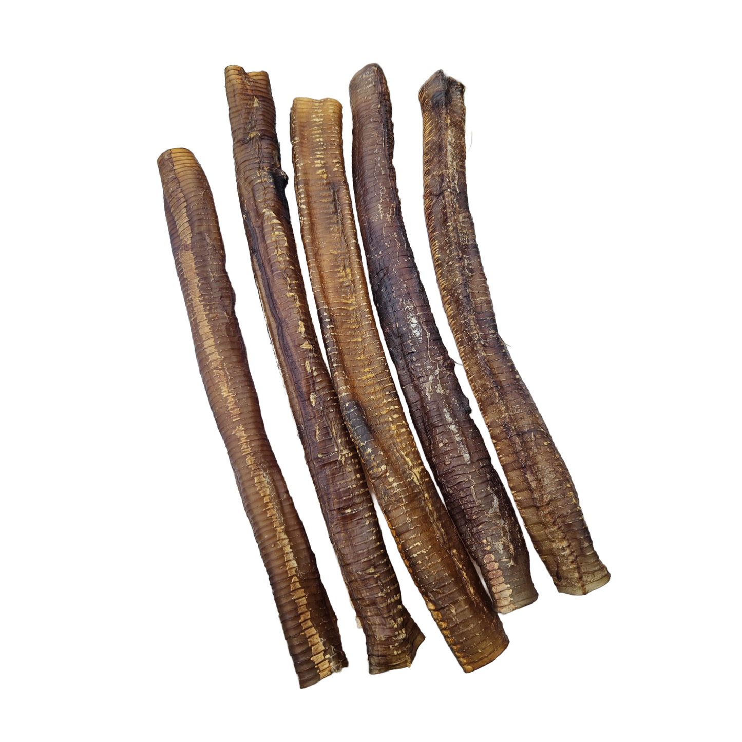 Ostrich tracheas natural chews for dogs