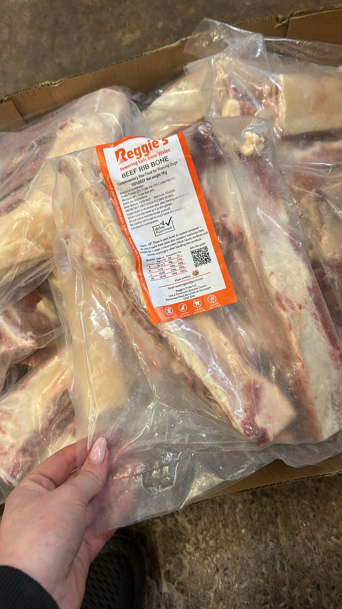 Raw Beef Rib Bone for dogs in Bristol
