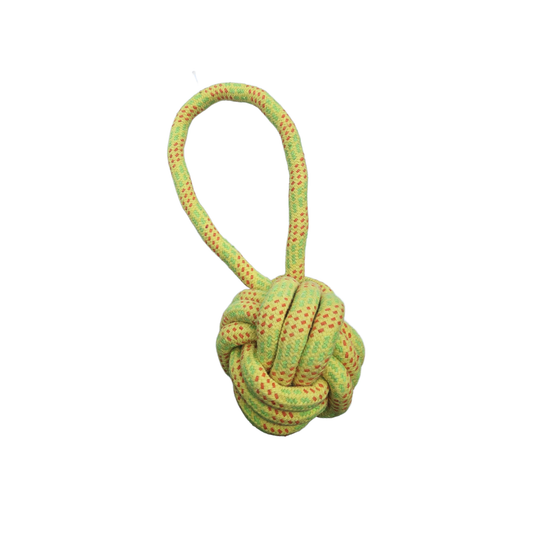 dog toy tuggie