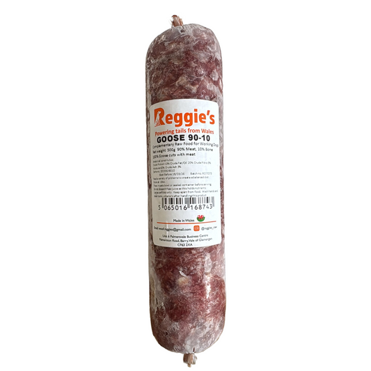 Reggie's raw dog food in Bristol