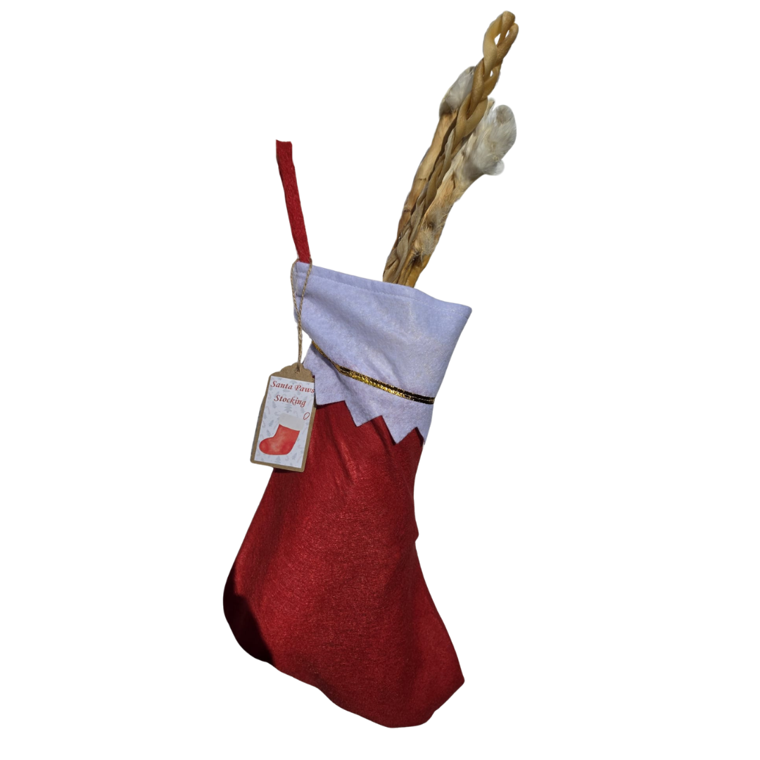 Santa Paws Stocking