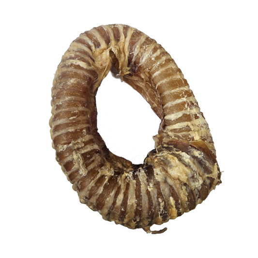 Trachea Coils - Large