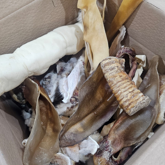 Big value dog chew box