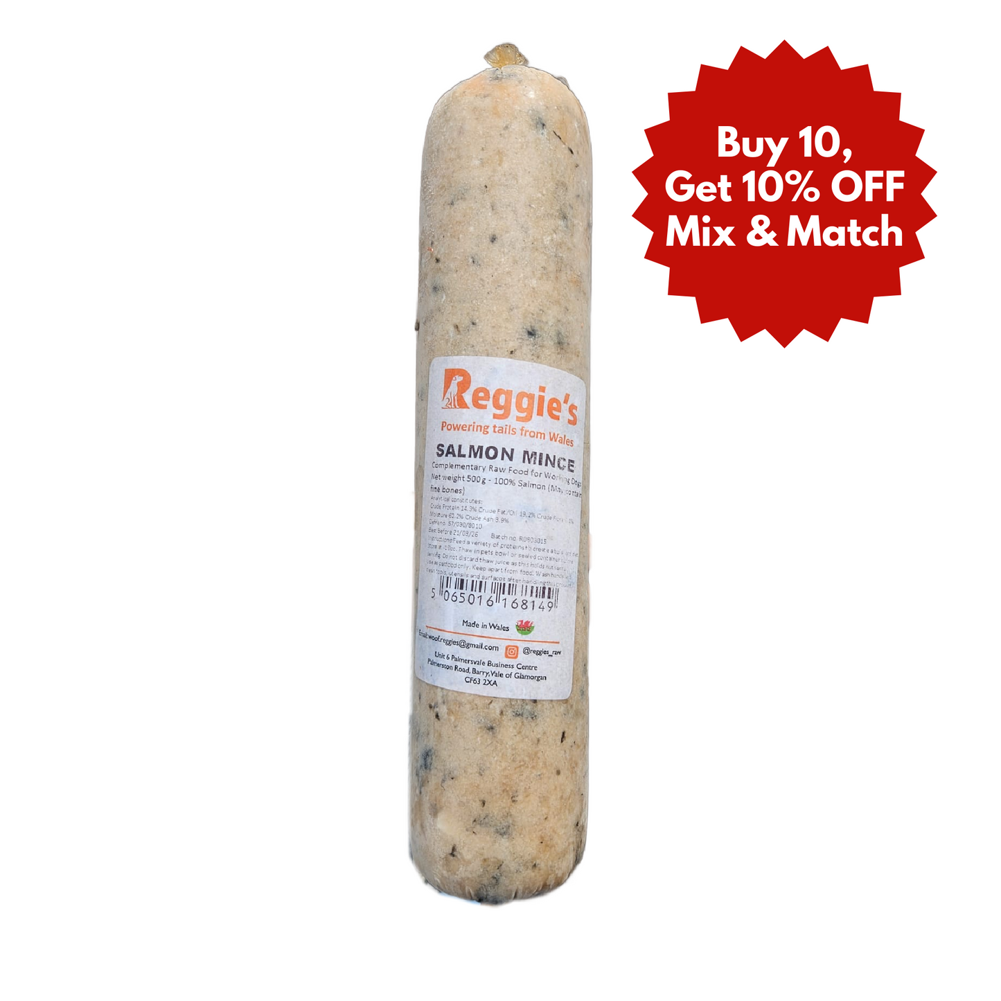 RR Salmon raw dog food for dogs in Bristol