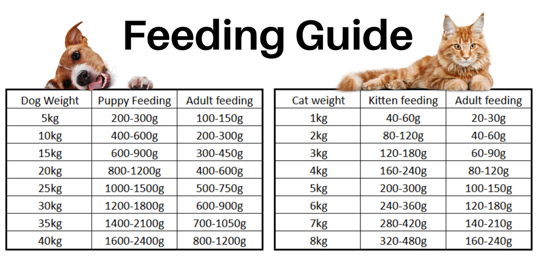 Raw food feeding guide