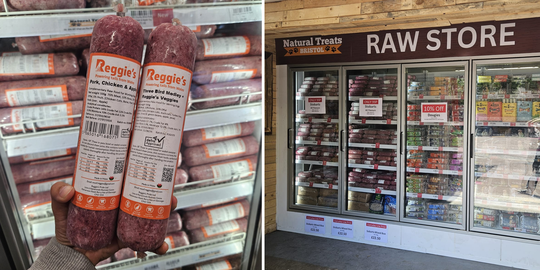 Where Can I Buy Raw Dog Food in Bristol? – Natural Treats Bristol