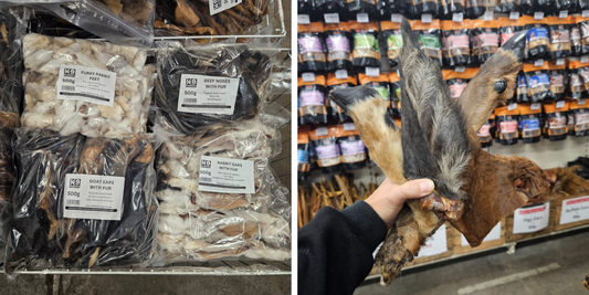 Why Furry Chews Are Great for Your Dog’s Digestion?