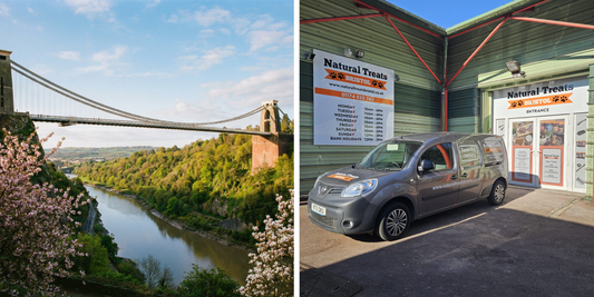 Best Raw Dog Food Delivery Services Near Bristol?