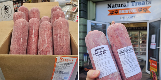 Cost of Raw Feeding for Dogs in Bristol