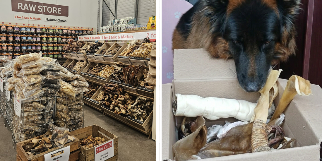 Where to Buy Natural Dog Chews in Bristol?