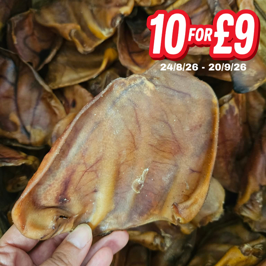 Pig Ear