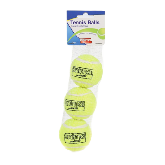 Tennis Balls for dogs in Bristol