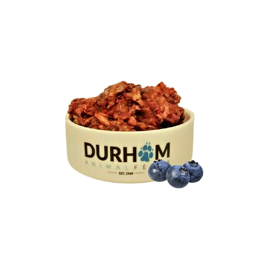 DAF raw dog food in Bristol