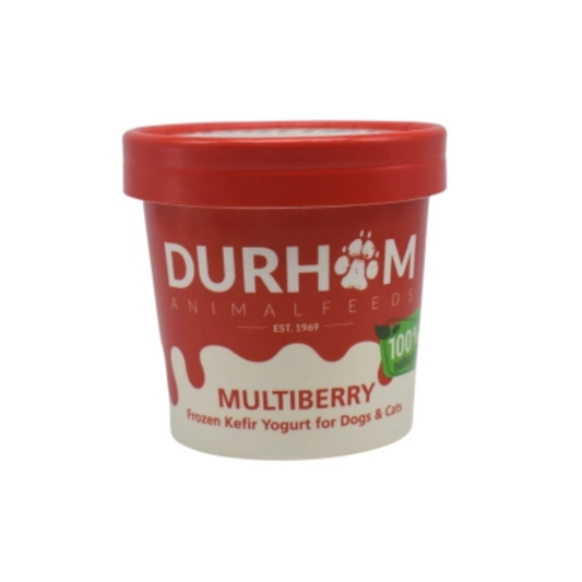 DAF Kefir for dogs in  Bristol