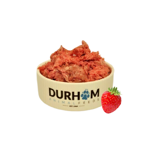 DAF raw dog food in Bristol