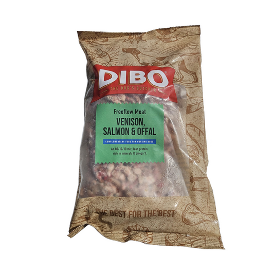 Dibo raw dog food in Bristol