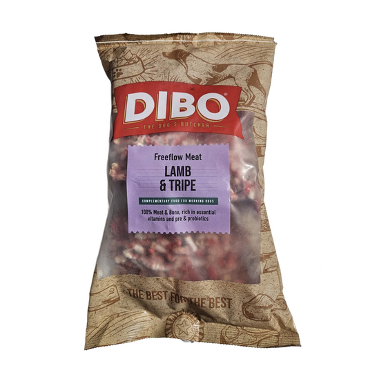 Dibo raw dog food in Bristol