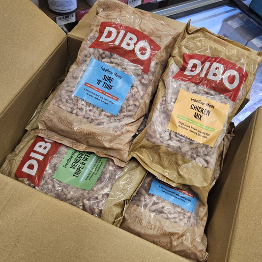 Dibo raw dog food in Bristol with same day delivery