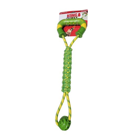 Kong dog toy