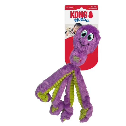 Kong dog toys in Bristol