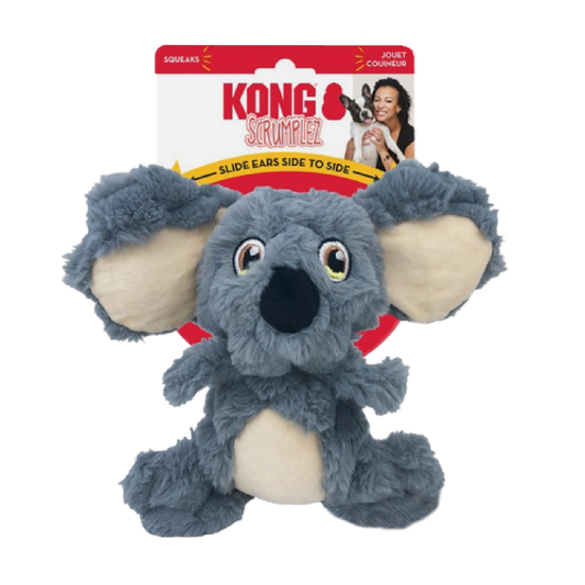 Kong dog toys in Bristol