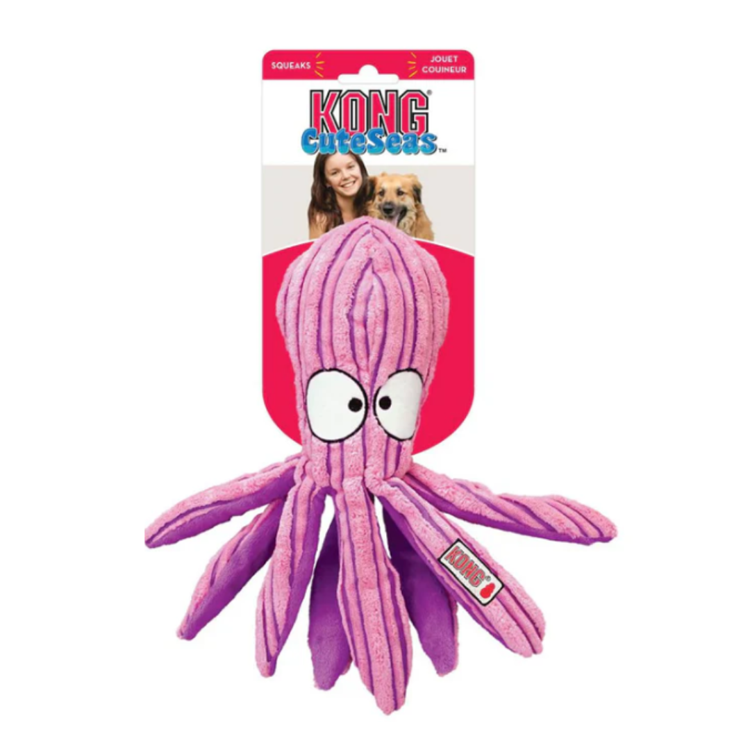 Kong dog toy