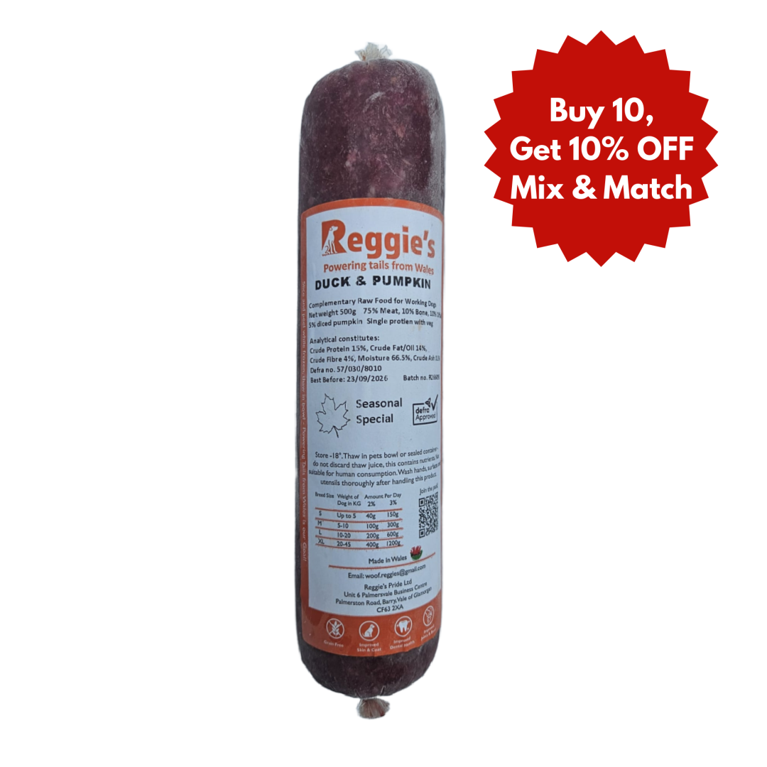 RR Duck & Pumpkin 500g