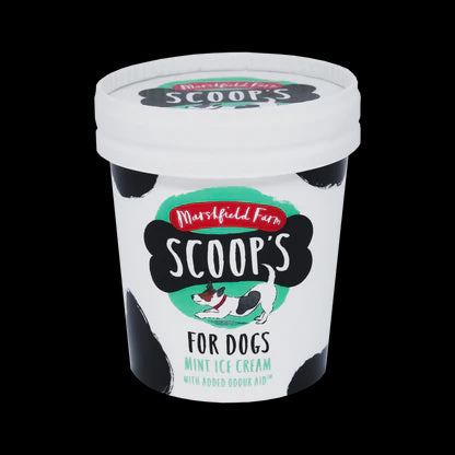 Scoop's Mint with Joint Aid Supplement 125ml