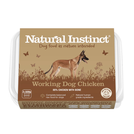 Natural Instinct raw dog food in Bristol